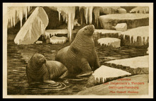 fau_19049-Thumbnail Image.jpg