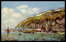 fau_19054-Thumbnail Image.jpg