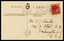 fau_19100-Thumbnail Image.jpg