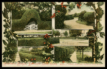 fau_19154-Thumbnail Image.jpg