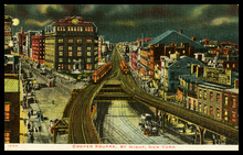 fau_19174-Thumbnail Image.jpg