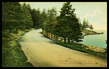 fau_19180-Thumbnail Image.jpg