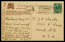 fau_19194-Thumbnail Image.jpg