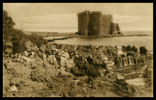 fau_19218-Thumbnail Image.jpg