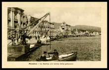 fau_19233-Thumbnail Image.jpg