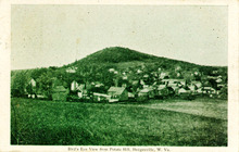 fau_19269-Thumbnail Image.jpg