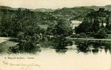fau_19275-Thumbnail Image.jpg