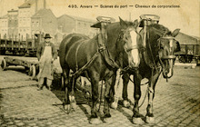 fau_19300-Thumbnail Image.jpg