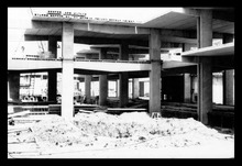 fau_1982-Thumbnail Image.jpg