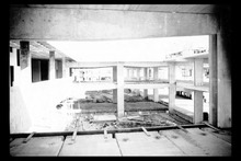 fau_1983-Thumbnail Image.jpg