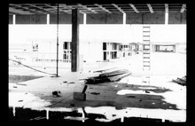 fau_1984-Thumbnail Image.jpg