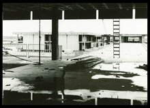 fau_1986-Thumbnail Image.jpg