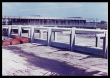 fau_1987-Thumbnail Image.jpg