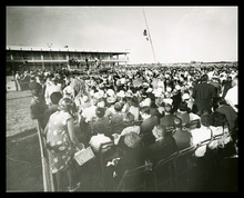 fau_2070-Thumbnail Image.jpg