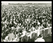 fau_2074-Thumbnail Image.jpg