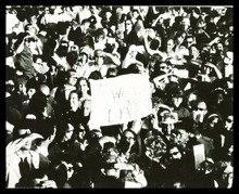 fau_2077-Thumbnail Image.jpg