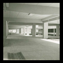 fau_2528-Thumbnail Image.jpg