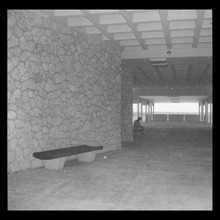 fau_2533-Thumbnail Image.jpg