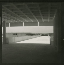 fau_2545-Thumbnail Image.jpg