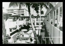 fau_2567-Thumbnail Image.jpg