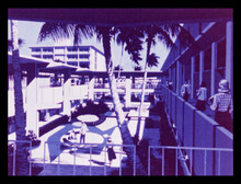 fau_2568-Thumbnail Image.jpg