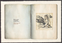 fau_2572-Thumbnail Image.jpg