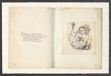 fau_2573-Thumbnail Image.jpg