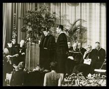 fau_2579-Thumbnail Image.jpg