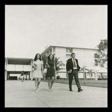 fau_3016-Thumbnail Image.jpg