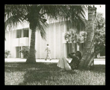 fau_3038-Thumbnail Image.jpg