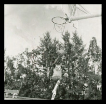 fau_3041-Thumbnail Image.jpg