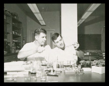 fau_3053-Thumbnail Image.jpg