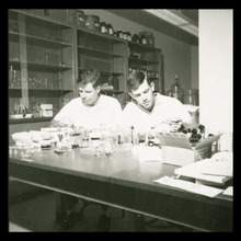 fau_3054-Thumbnail Image.jpg