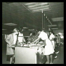 fau_3071-Thumbnail Image.jpg