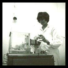 fau_3073-Thumbnail Image.jpg