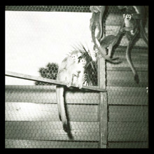 fau_3075-Thumbnail Image.jpg