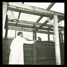 fau_3078-Thumbnail Image.jpg