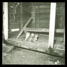 fau_3079-Thumbnail Image.jpg