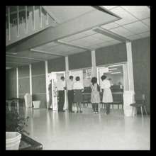 fau_3082-Thumbnail Image.jpg