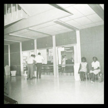 fau_3084-Thumbnail Image.jpg