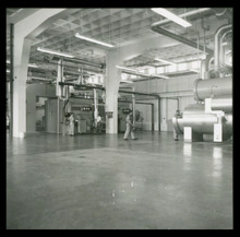 fau_3120-Thumbnail Image.jpg