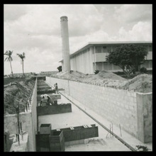 fau_3131-Thumbnail Image.jpg