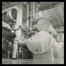 fau_3133-Thumbnail Image.jpg