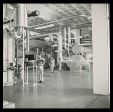 fau_3134-Thumbnail Image.jpg