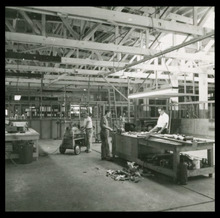 fau_3140-Thumbnail Image.jpg