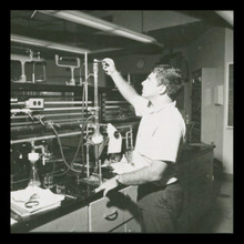 fau_3172-Thumbnail Image.jpg