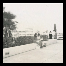 fau_3173-Thumbnail Image.jpg