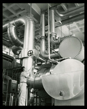 fau_3180-Thumbnail Image.jpg