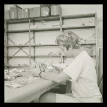 fau_3189-Thumbnail Image.jpg