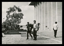 fau_3195-Thumbnail Image.jpg